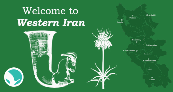 Western Iran tours