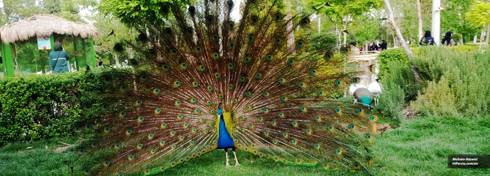 Isfahan Birds garden