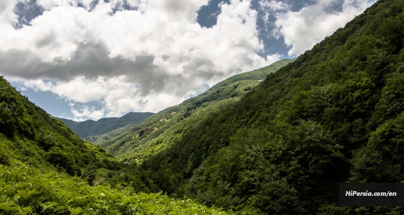 Caspian Hyrcanian mixed forests