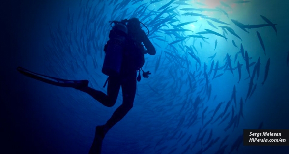 Diving in Qeshm