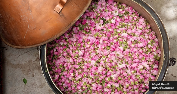 Making Rose water