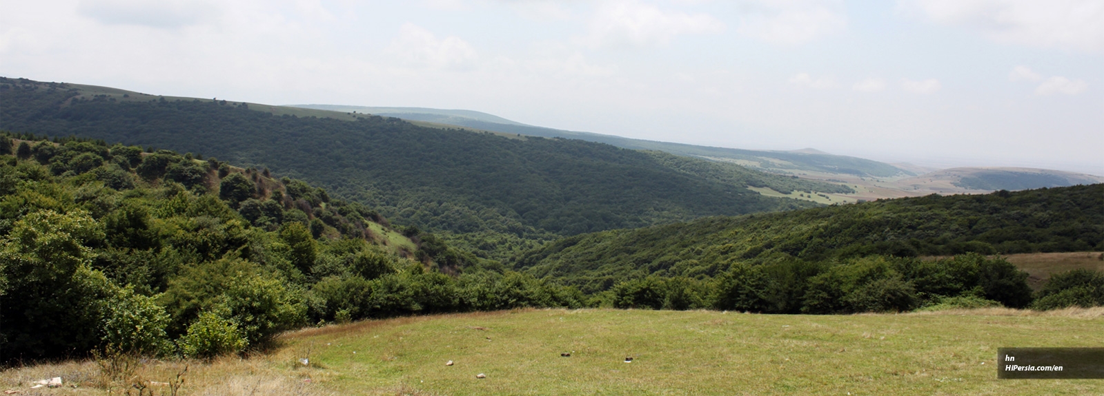 Fandoqlu Forest