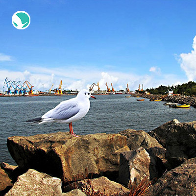 Bandar Anzali