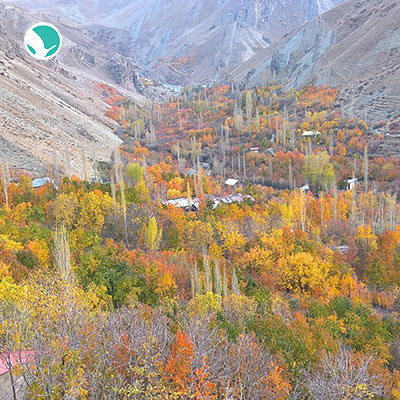 Valley of King