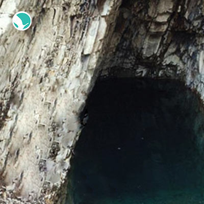 Ghar-e Mahi Kour (Blind Cave Fish)