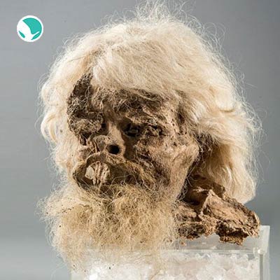 Saltman Museum