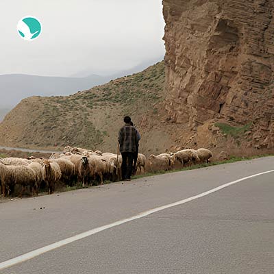How to get Tabriz from Shiraz?