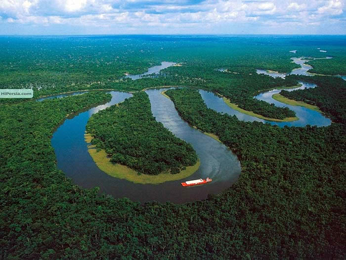 گشت جنگل‌های آمازون