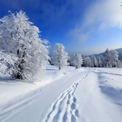 سرمای بی تو