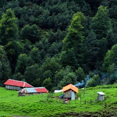 ییلاق ماسال کجاست؟