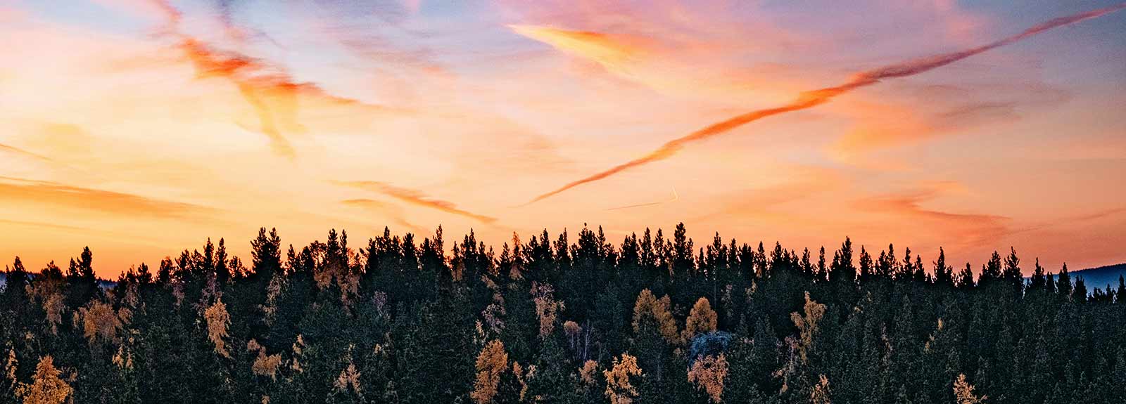 سیبری کجاست؟