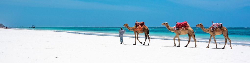 مومباسا کجاست؟