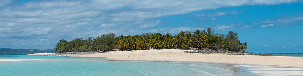 ویزای ماداگاسکار (الکترونیک)