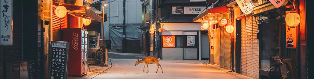 هیروشیما کجاست؟