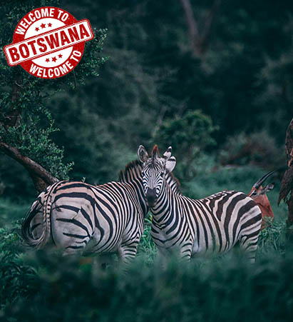 ویزای بوتسوانا (توریستی الکترونیک)