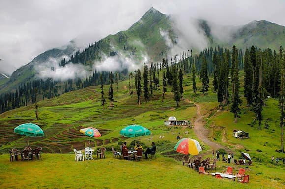 لاله‌زهار پارک