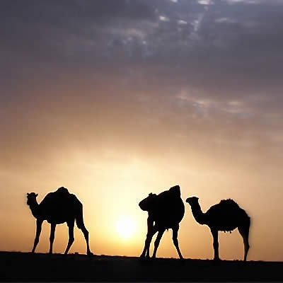 کویر مرنجاب کجاست؟